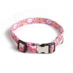 Clever Dog Blumenhalsband