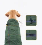 Windrunner Dünne Hundejacke (personalisierbar) – Bild 7
