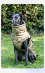 Hundejacke für mittlere/große Hunde (personalisierbar) – Bild 5