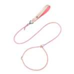 Hundeleine + Halsband (2 in 1) – Bild 4