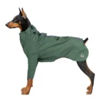 Windrunner Dünne Hundejacke (personalisierbar) – Bild 2