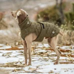 Hundejacke für mittlere/große Hunde (personalisierbar) – Bild 7