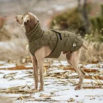 Hundejacke für mittlere/große Hunde (personalisierbar) – Bild 3