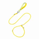 Hundeleine + Halsband (2 in 1) – Bild 6