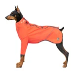 Windrunner Dünne Hundejacke (personalisierbar) – Bild 3