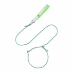 Hundeleine + Halsband (2 in 1)