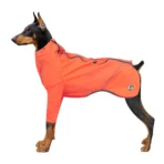 Windrunner Dünne Hundejacke (personalisierbar) – Bild 4