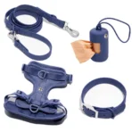 Urban Dog Essentials Kit