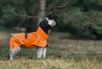 Windrunner V2 Jacke (personalisierbar) – Bild 4